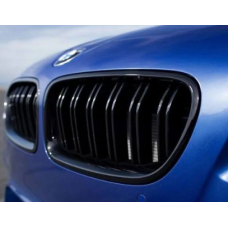 F20 Non OEM Preface Double Slat Gloss Kidney Grills F20 Non OEM Preface Double Slat Gloss Kidney Grills