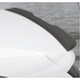 Polo 6 Max winglet                                                        