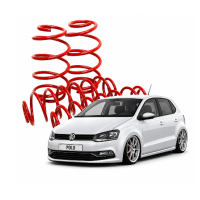 Polo 2010+/Vivo2010+ 40mm Lowering Springs